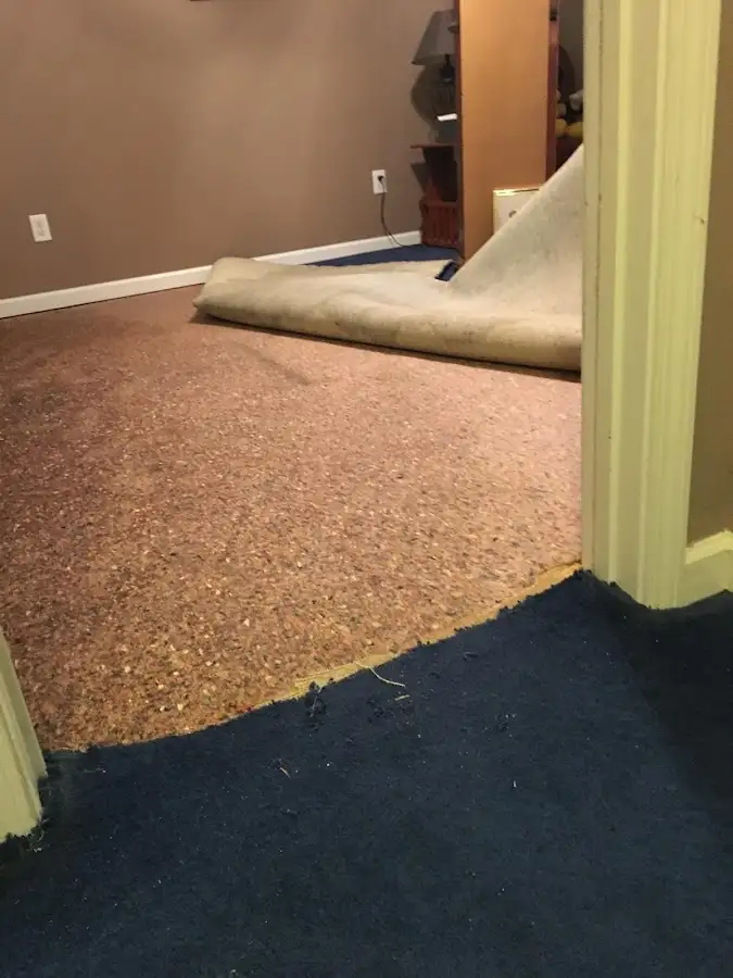 Carpet pad removal revealing water damage during Drying & Dehumidification in Ellington